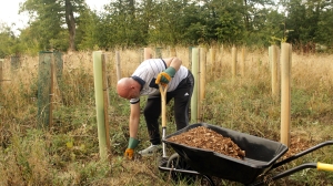 Growing Wellbeing Through Nature: Our Journey with Swindon Mind 